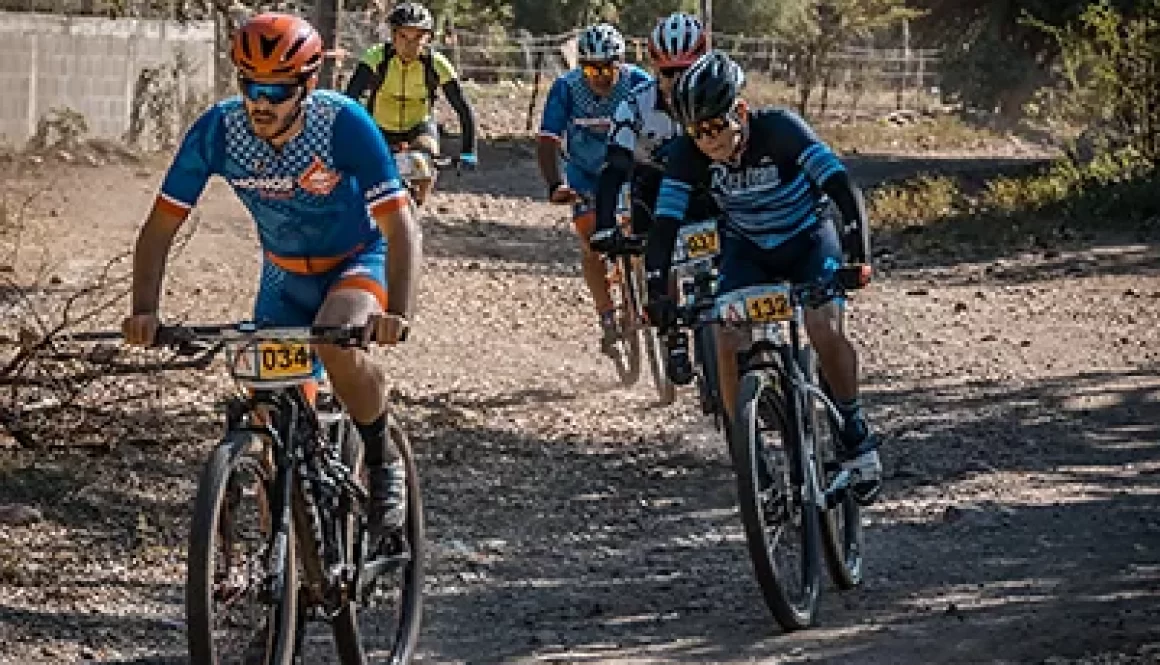 Insurance for cyclists