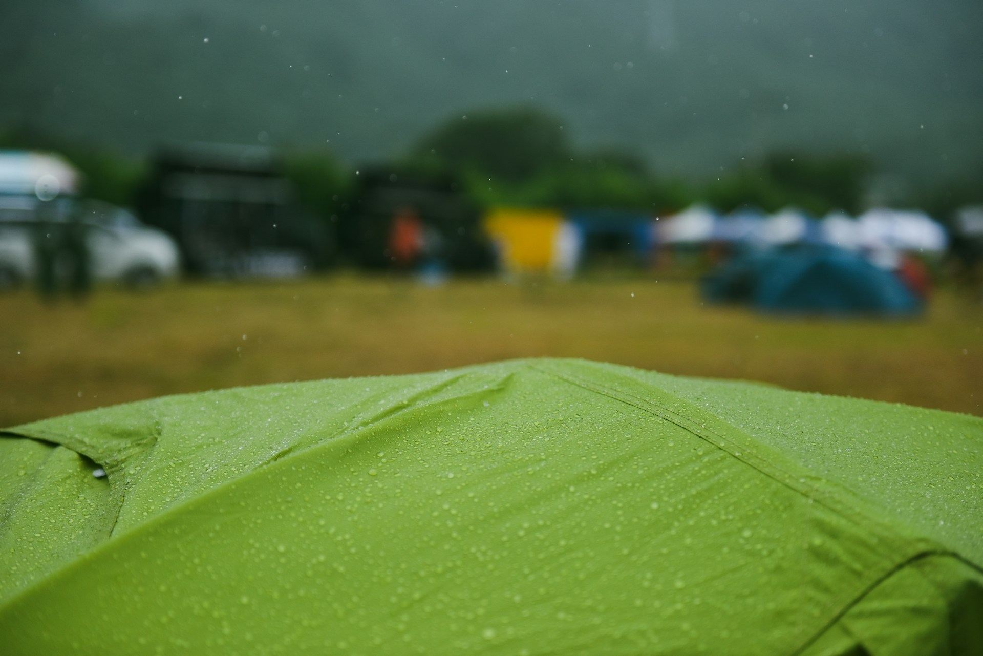 suhyeon-choi-Cd8LPrCPAfc-unsplash suhyeon-choi-Cd8LPrCPAfc-unsplash